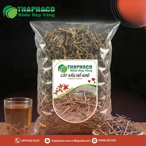 Cây xấu hổ trong tự nhiên