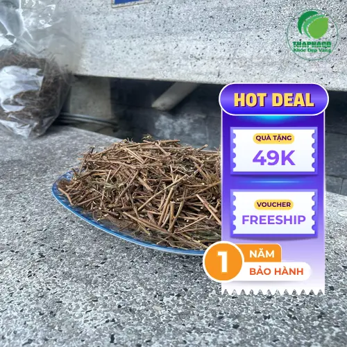 Hướng dẫn sử dụng cây xấu hổ khô