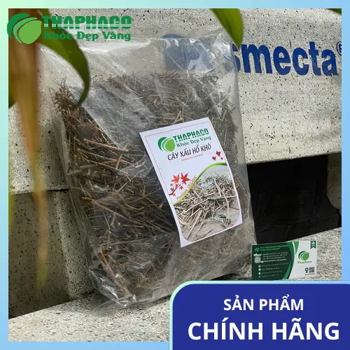 THAPHACO - địa chỉ bán cây xấu hổ khô tại TP.HCM