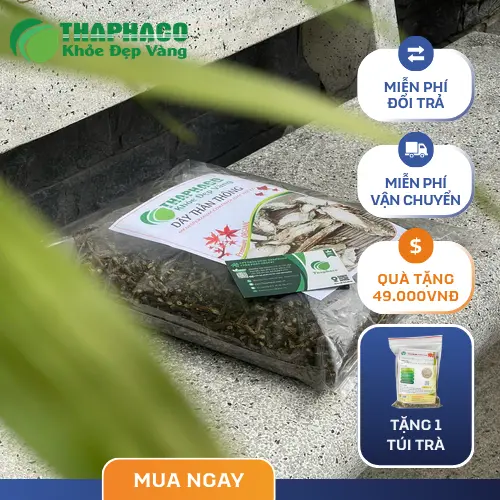 Khoa học giải thích vị đắng tự nhiên của cây thần thông