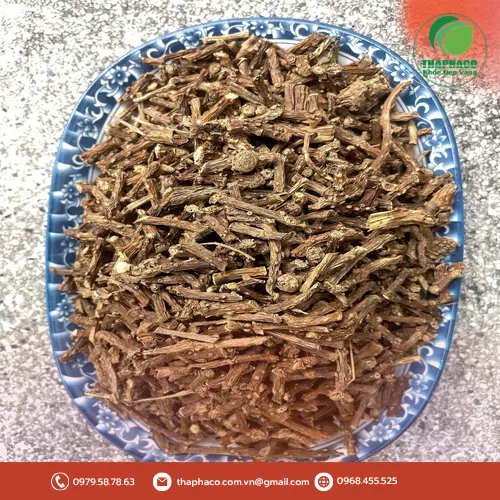 Dây Thần Thông được phơi khô để làm dược liệu