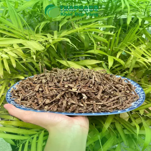 Hướng dẫn sử dụng cây thần thông đúng cách và an toàn