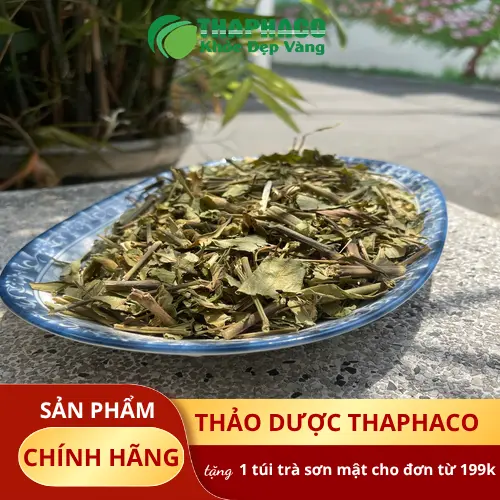 Lá cây Hoàn Ngọc Trắng cận cảnh