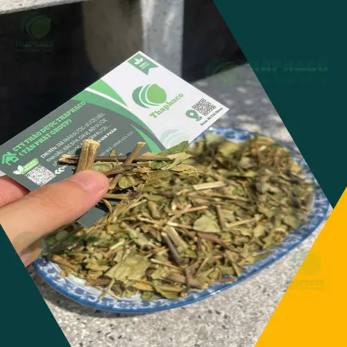 Cách pha trà Hoàn Ngọc khô