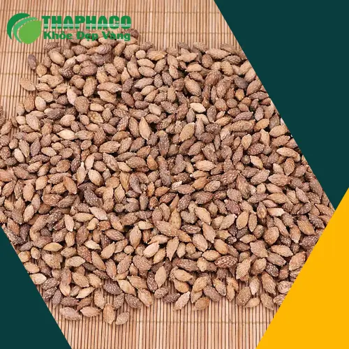 Sơ chế ké đầu ngựa khô sạch sẽ trước khi nấu