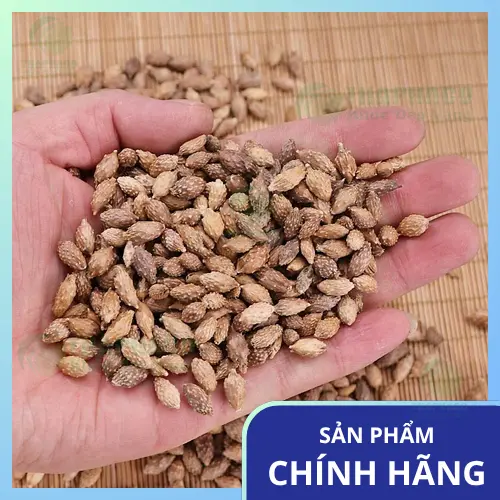 Liên hệ Thaphaco để mua Thương Nhĩ Tử Khô