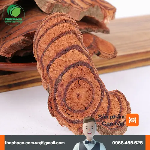 Công dụng Kê Huyết Đằng trong y học cổ truyền