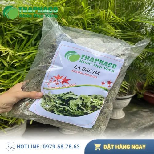 Trà bạc hà khô thư giãn tinh thần
