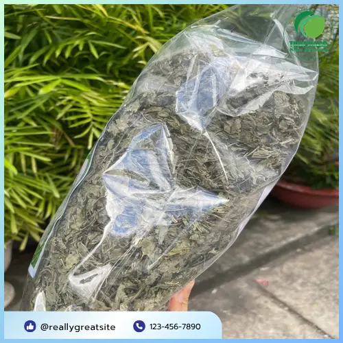 Một tách trà bạc hà ấm áp