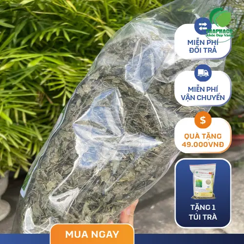 Lá bạc hà khô THAPHACO chất lượng