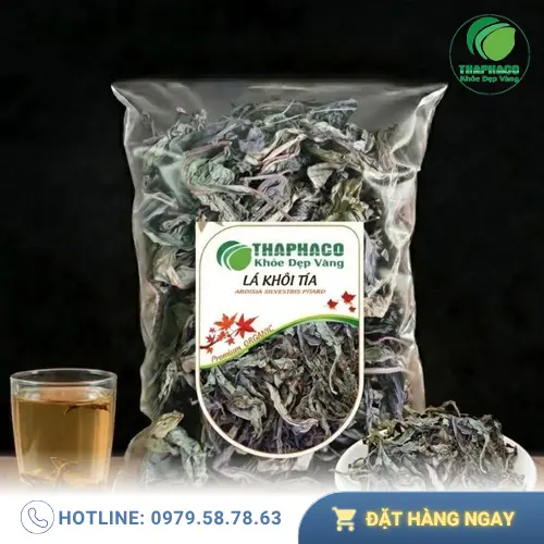Lá Khôi Tía khô và những công dụng hỗ trợ sức khỏe