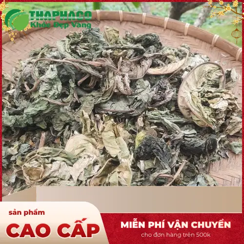 Cách dùng Lá Khôi Tía khô an toàn