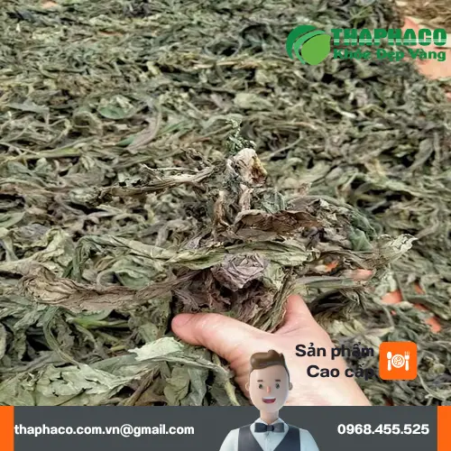 Chuẩn bị lá khôi tía sấy khô để pha trà