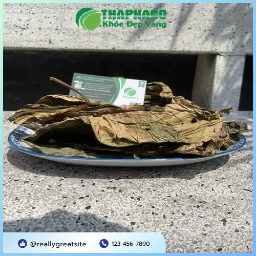 Chọn mua Lá Khôi Tía khô chất lượng tại THAPHACO