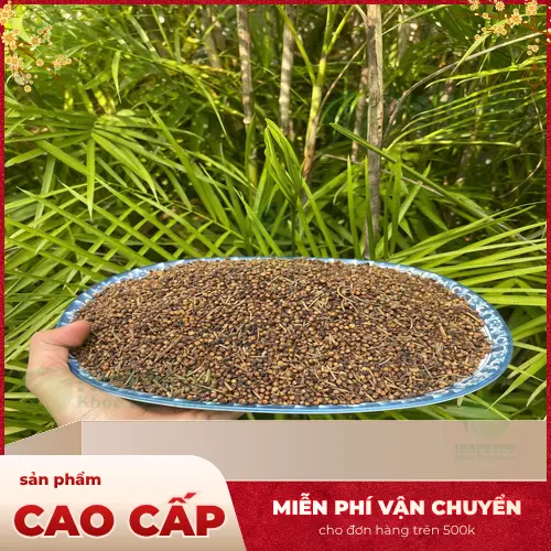 Cách pha trà Nụ Vối Khô chuẩn vị