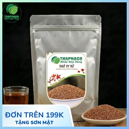 Thỏ Ty Tử là hạt của cây Tơ Hồng, một loại dược liệu quý