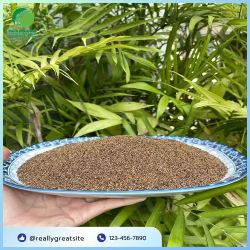 Công dụng hỗ trợ sức khỏe của Thỏ Ty Tử