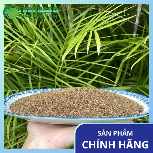Cần ngừng sử dụng Thỏ Ty Tử nếu gặp tác dụng phụ