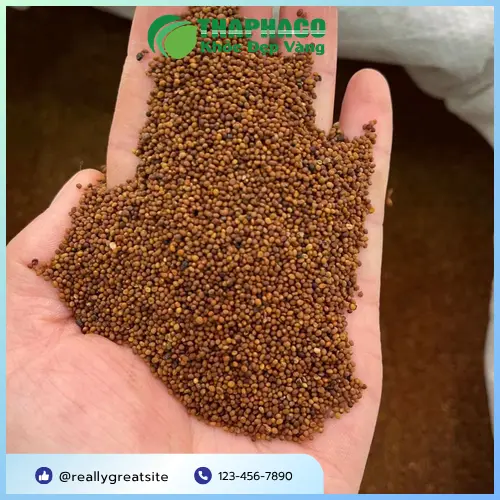 Không dùng Thỏ Ty Tử khi cơ thể nóng trong