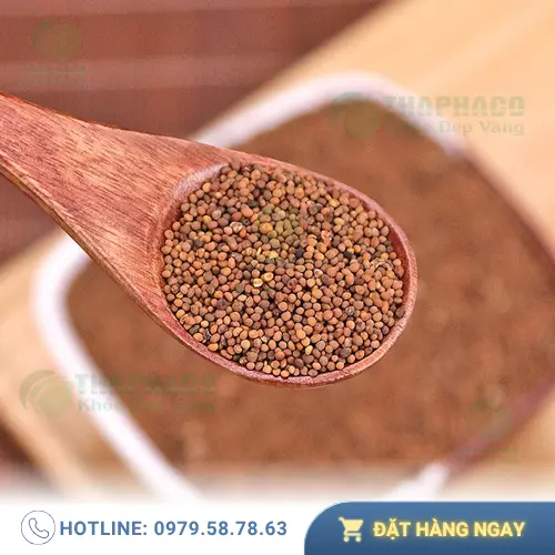 Hướng dẫn sử dụng Thỏ Ty Tử sấy khô