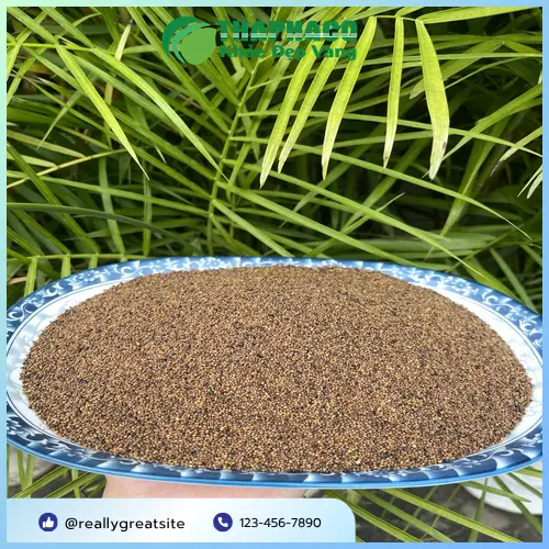 Lời khuyên từ chuyên gia về sử dụng Thỏ Ty Tử an toàn