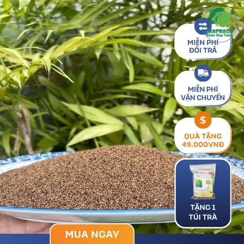 Mua Thỏ Ty Tử sấy khô chất lượng tại THAPHACO