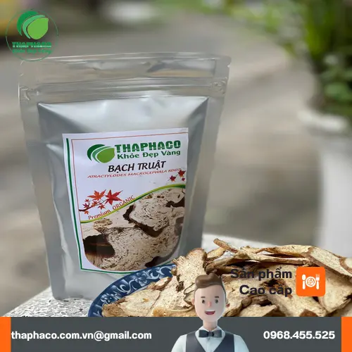 Địa chỉ bán Bạch Truật khô uy tín tại TP.HCM - THAPHACO