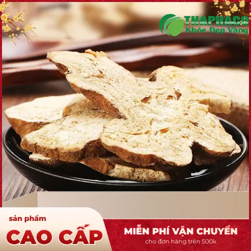Đặc điểm Bạch Truật khô chất lượng của THAPHACO