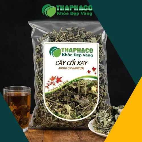 Hình ảnh tổng quan cây cối xay với thân, lá, hoa và quả đặc trưng