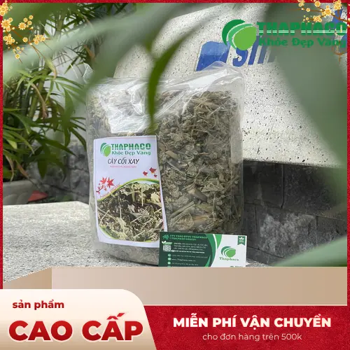 Hình ảnh hoa và quả cây cối xay, thể hiện đặc tính tự nhiên của dược liệu