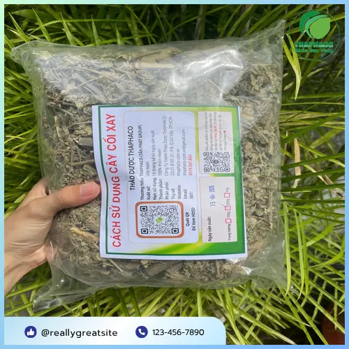 Cách hãm trà cây cối xay khô đúng chuẩn