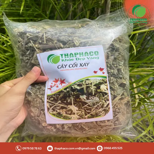 Hình ảnh cây cối xay tươi, minh họa nguyên liệu cho các bài thuốc dân gian
