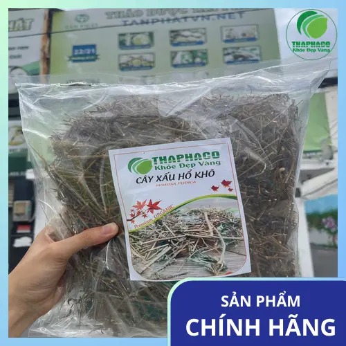 THAPHACO cung cấp cây xấu hổ khô đạt chuẩn tại TP.HCM