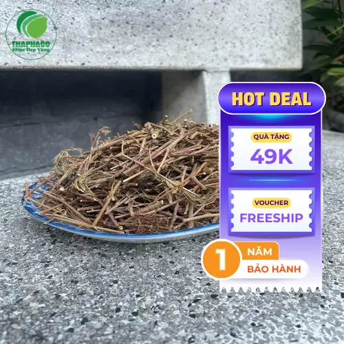 Bảng giá cây xấu hổ khô THAPHACO