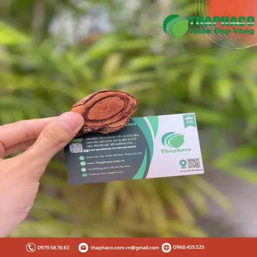 Kê Huyết Đằng trong bình ngâm rượu