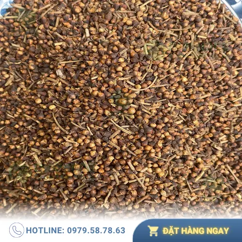 Hướng dẫn pha trà nụ vối đúng cách