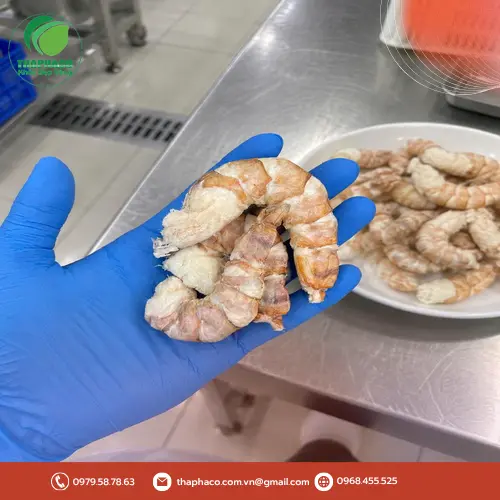 Món cơm chiên tôm sấy thăng hoa thơm ngon bổ dưỡng