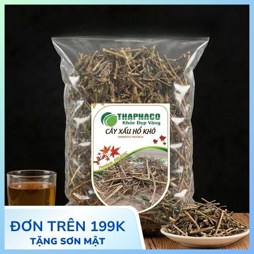 Toàn cảnh cây xấu hổ tự nhiên trong tự nhiên