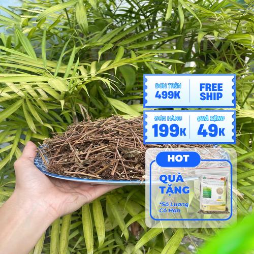 Đặc điểm lá và thân cây xấu hổ khô chuẩn bị sơ chế