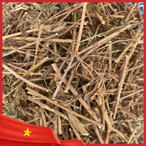 Sản phẩm cây xấu hổ khô đóng gói sạch sẽ tại kho