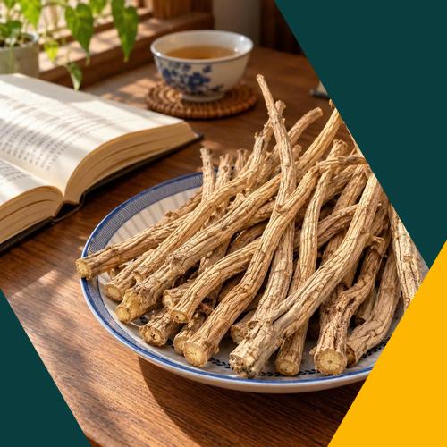 Rễ cây phòng phong được sơ chế và sấy khô kỹ lưỡng