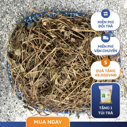 Cần tránh nấu nước sài đất quá đặc để bảo vệ da