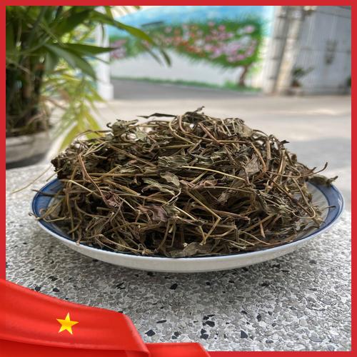 Đặc điểm lá và hoa của cây sài đất