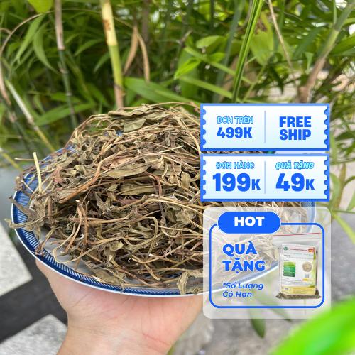 Sơ chế và lọc bã kỹ trước khi dùng sài đất