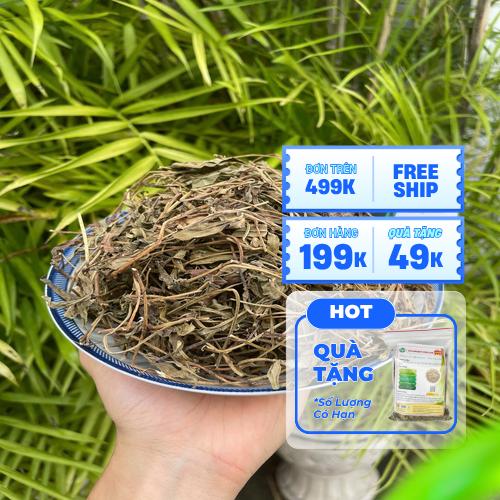 Dược liệu sài đất khô chuẩn bị sử dụng