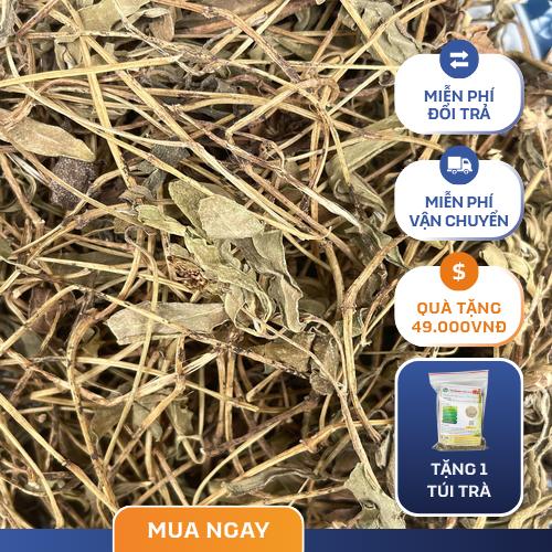 Bảo quản và sử dụng sài đất đúng cách
