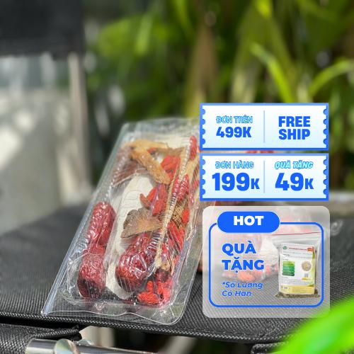 Set thuốc bổ hầm gà chất lượng chuẩn bị sẵn